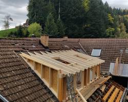 Dachausbau